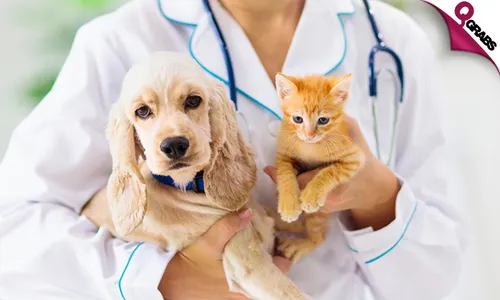 Health Check-Up for Your Pets!